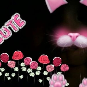 Meet your Posher, Sybil